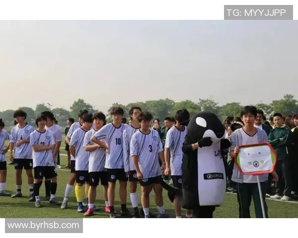 许为绿茵赛场逐梦之路全面解析与辉煌时刻回顾